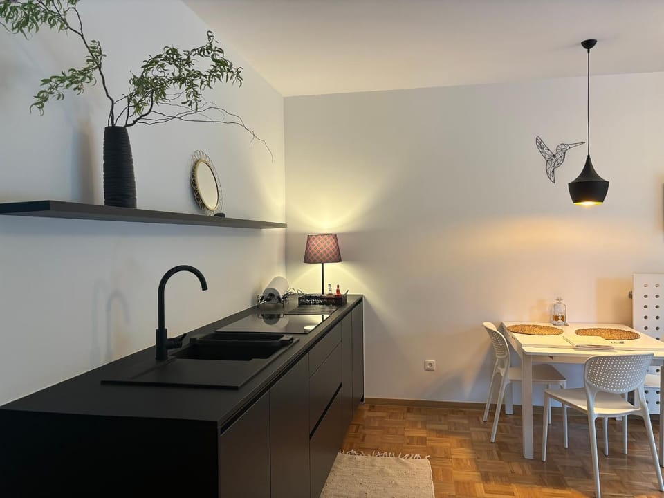 Kitchen or kitchenette, Dining area, stove