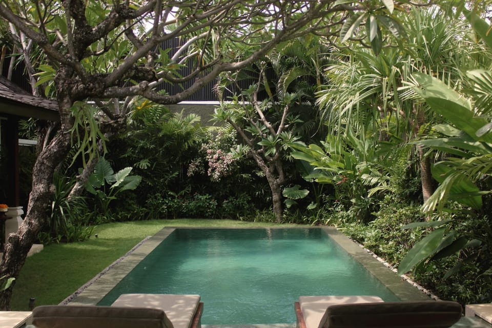 Natural landscape, Garden, Pool view, Swimming pool