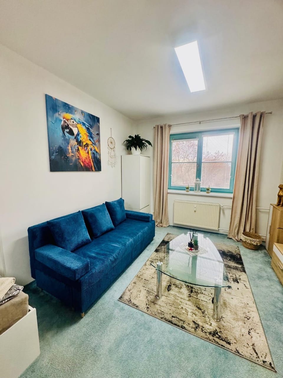 Studio u ZOO Apartment in Czechia