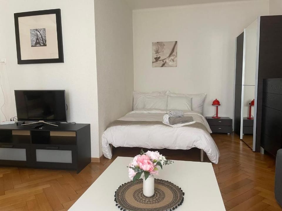 Appartement calme à Lausanne Apartment in Lausanne