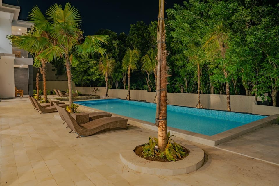 Patio, Night, Garden, Garden view, Pool view, Swimming pool, sunbed
