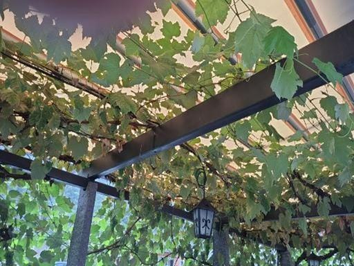 Grotto osteria di Baloi Bed and Breakfast in Canton of Ticino
