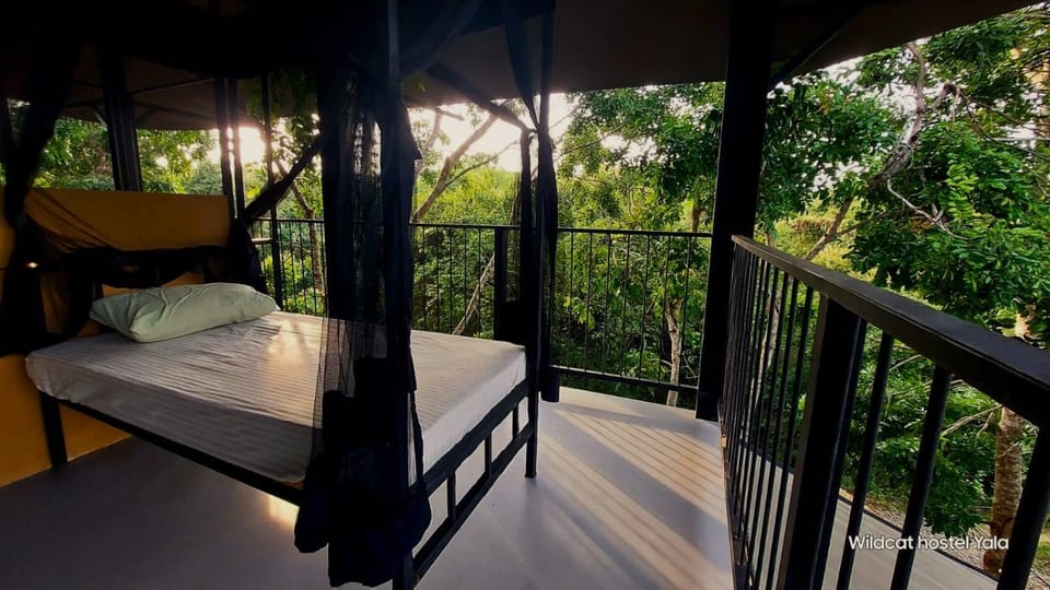 Bed, View (from property/room)