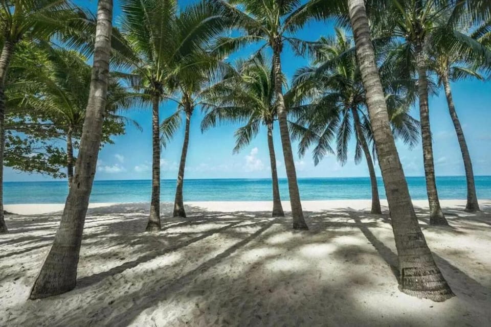 Nearby landmark, Beach