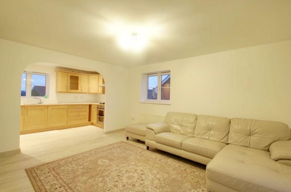 Living room, kitchen