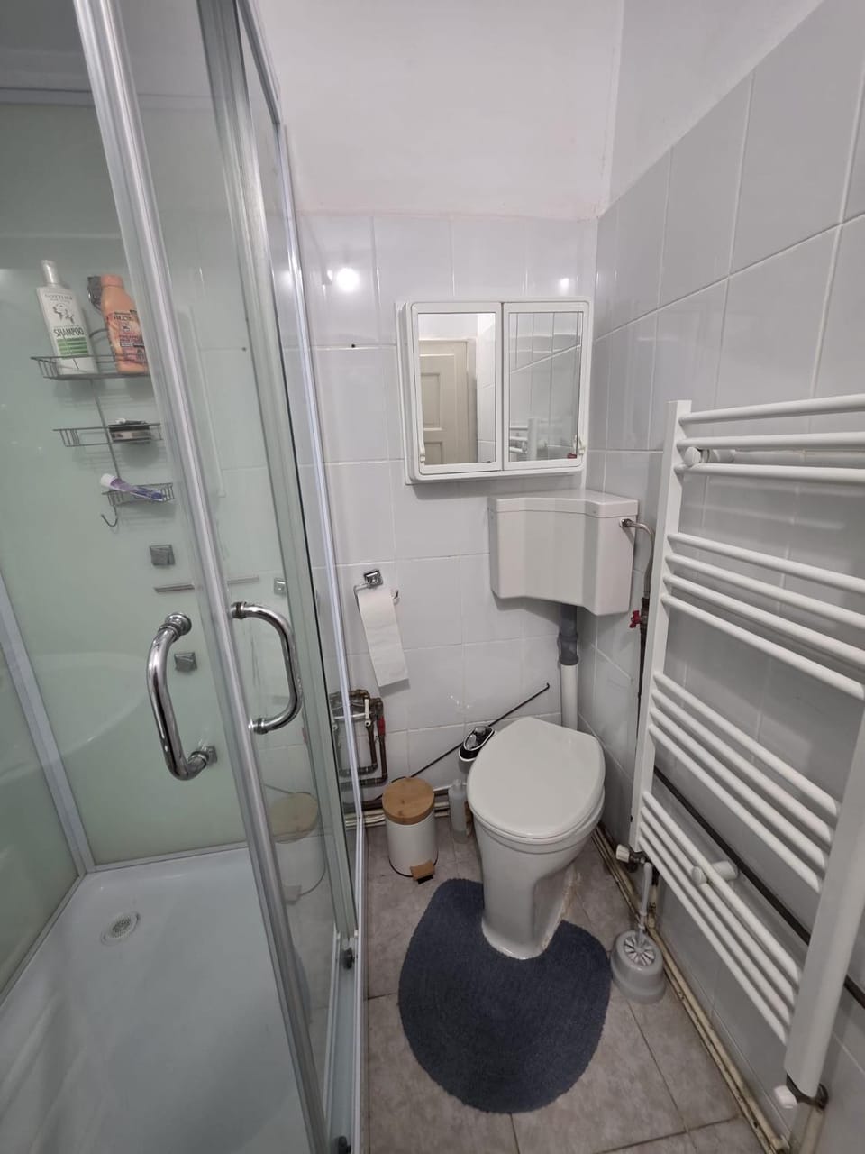 Casa Maria - Bright Large Apartment Apartment in Sibiu