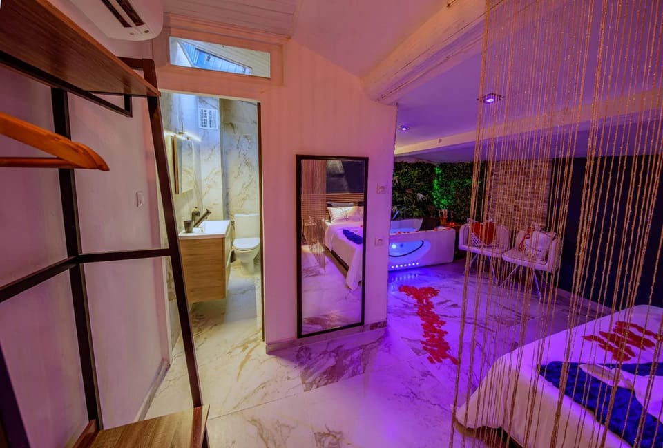 Suite cosy & Jacuzzi - Arles centre- climatisée Apartment in Arles