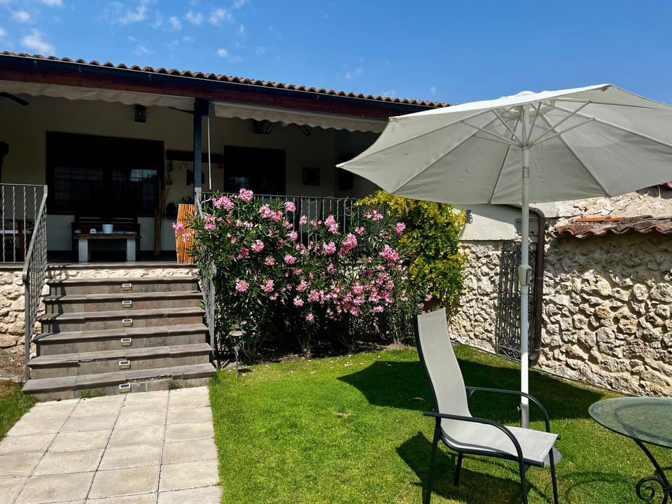 Patio, Spring, Day, Garden, Garden, sunbed