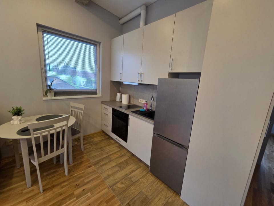 Apartmentai Panemunėje su vaizdu į Nemuną Apartment in Lithuania