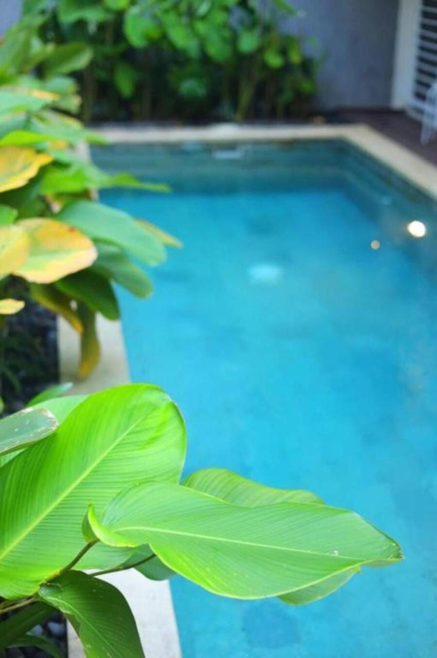 Day, Swimming pool