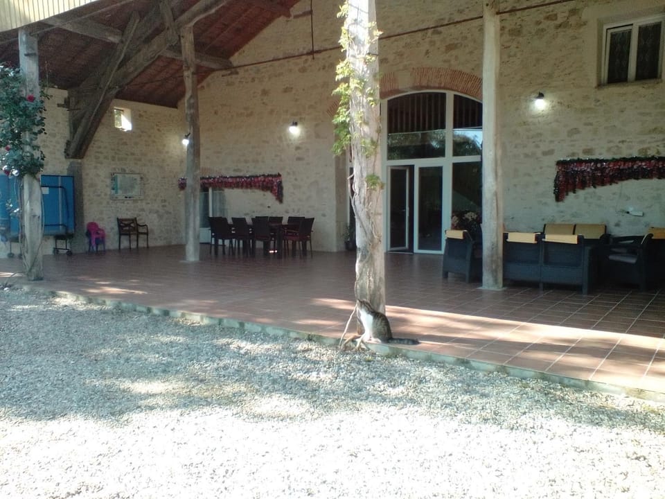 Patio, Balcony/Terrace