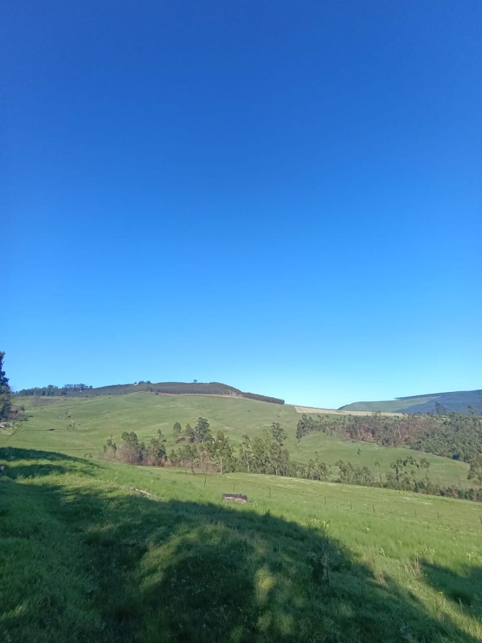 Kleine Croft Farm Cottage Apartment in KwaZulu-Natal