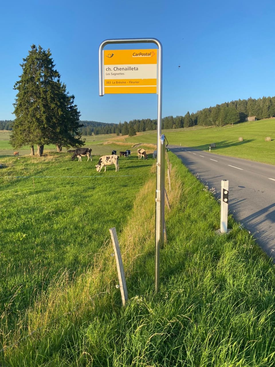 Tente Glamping dans les arbres de la Ferme du Bois de l'halle Campground/ 
RV Resort in Nidwalden