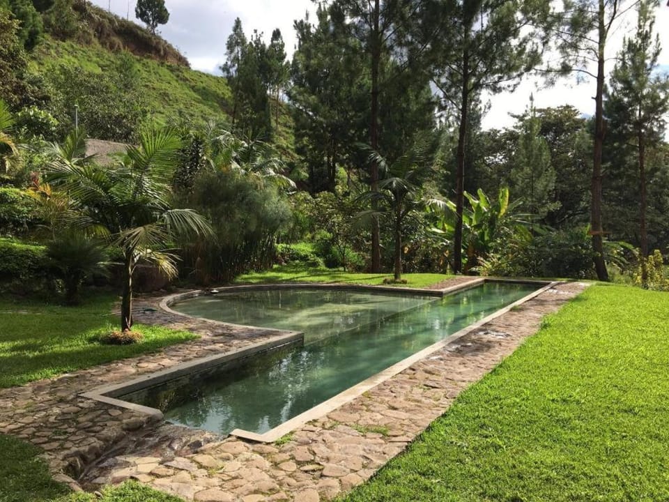 Natural landscape, Garden, Swimming pool