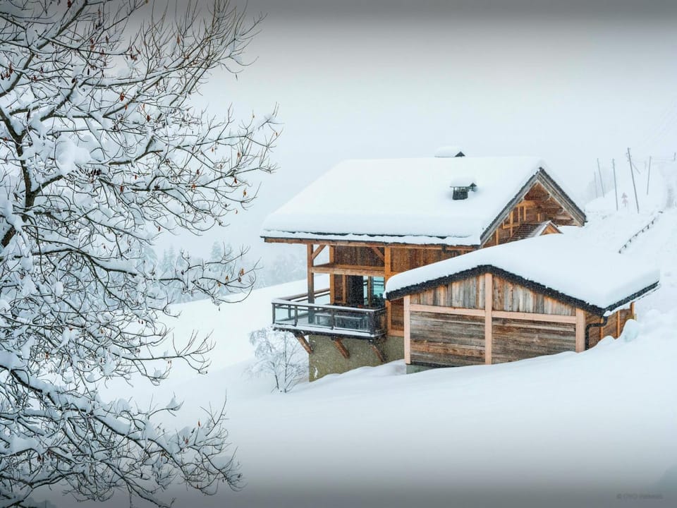 Property building, Natural landscape, Winter