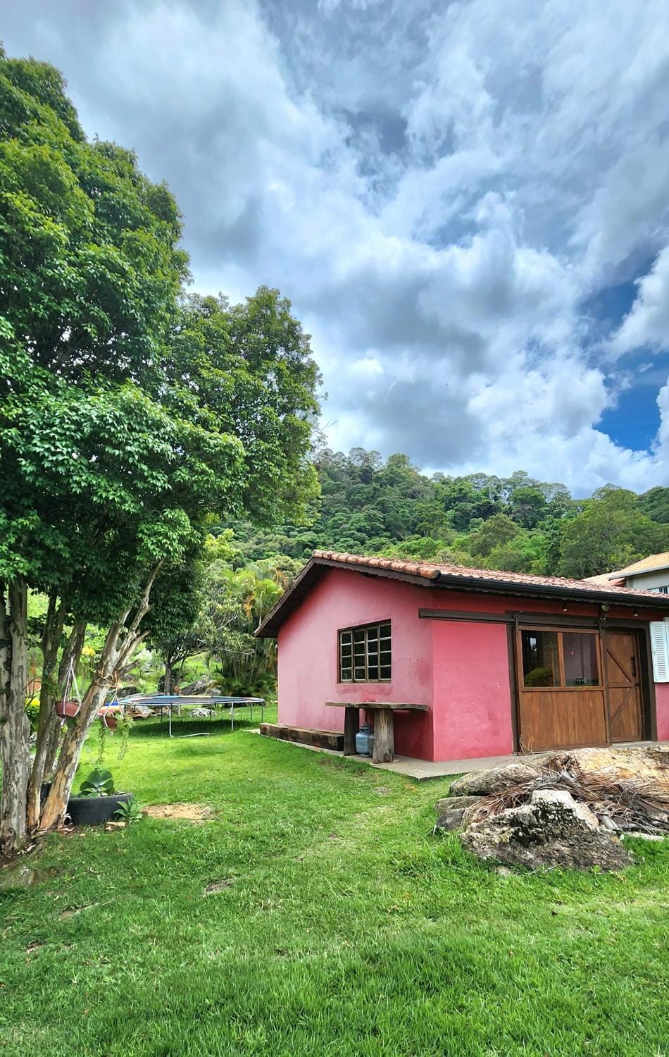 Garden view