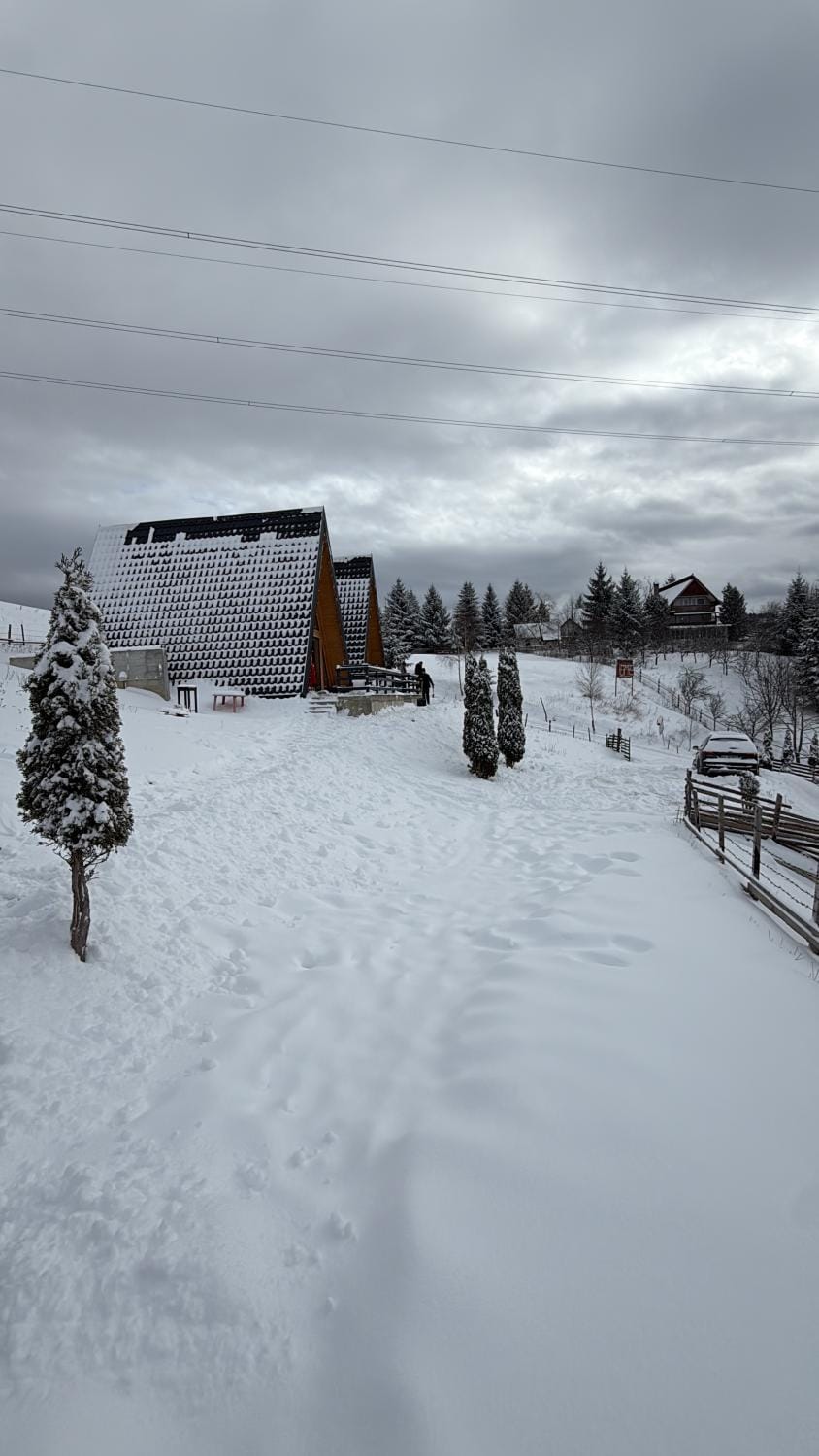 Dominic A Frame Chalet in Brașov County