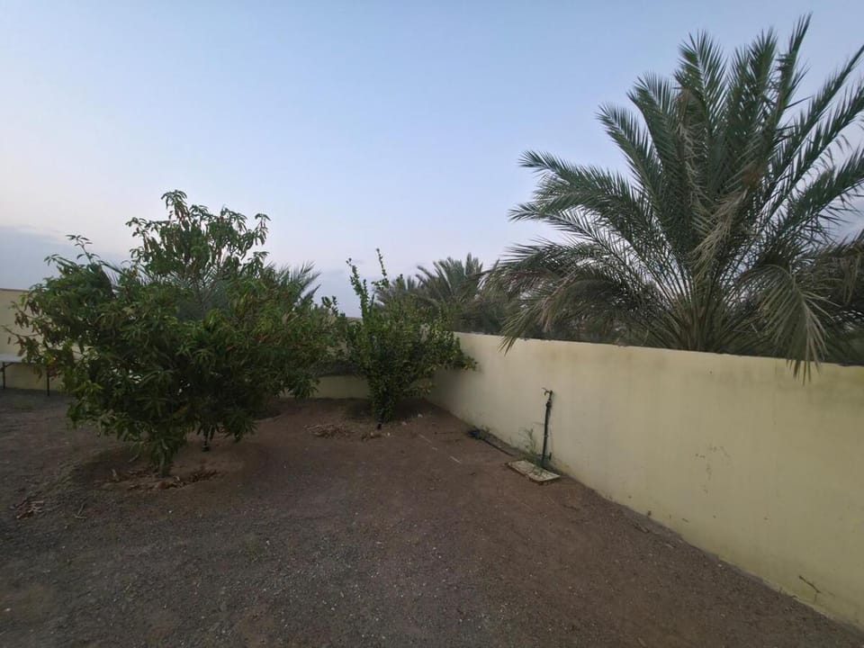 Chalet - House -Sand Adventures Oasis - Bidiyah - Oman Chalet in Oman