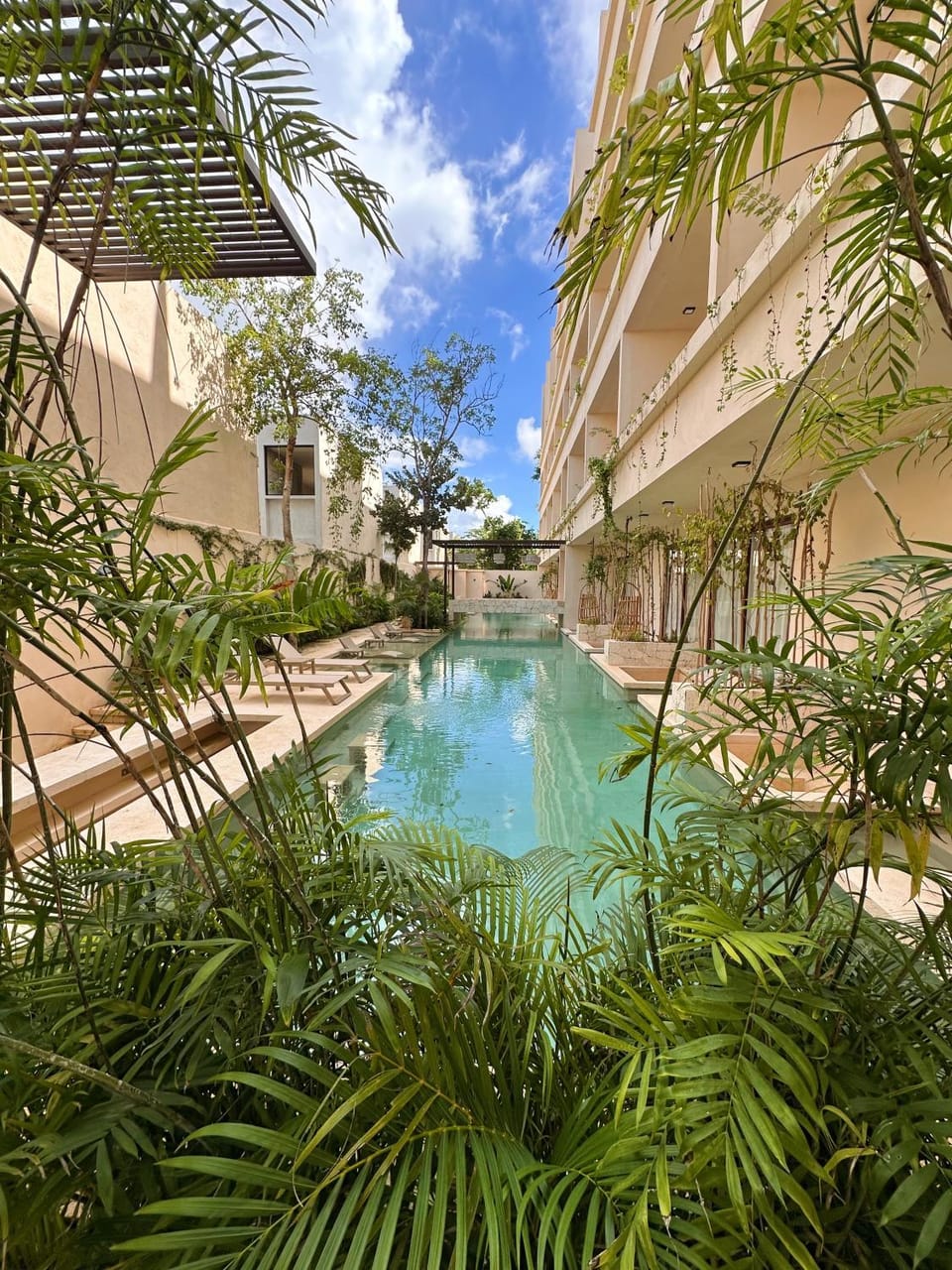 Garden, Garden view, Pool view, Swimming pool