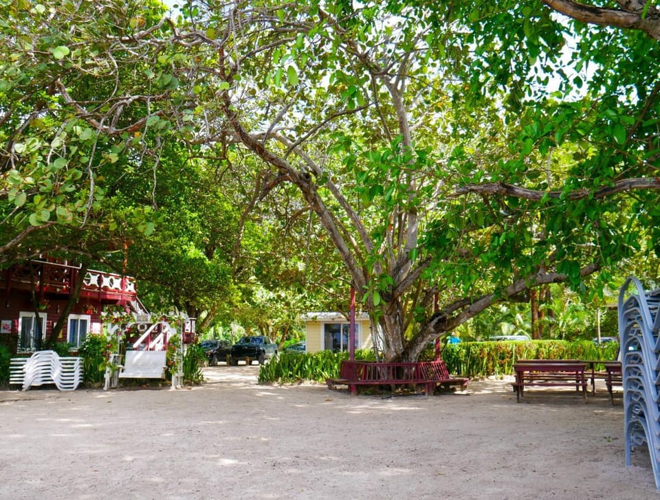 Natural landscape, View (from property/room)