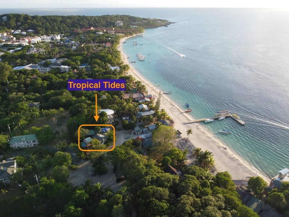 Restaurant/places to eat, Neighbourhood, Natural landscape, Beach, Diving, Location