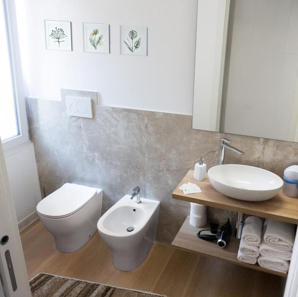 Toilet, Bathroom, bidet