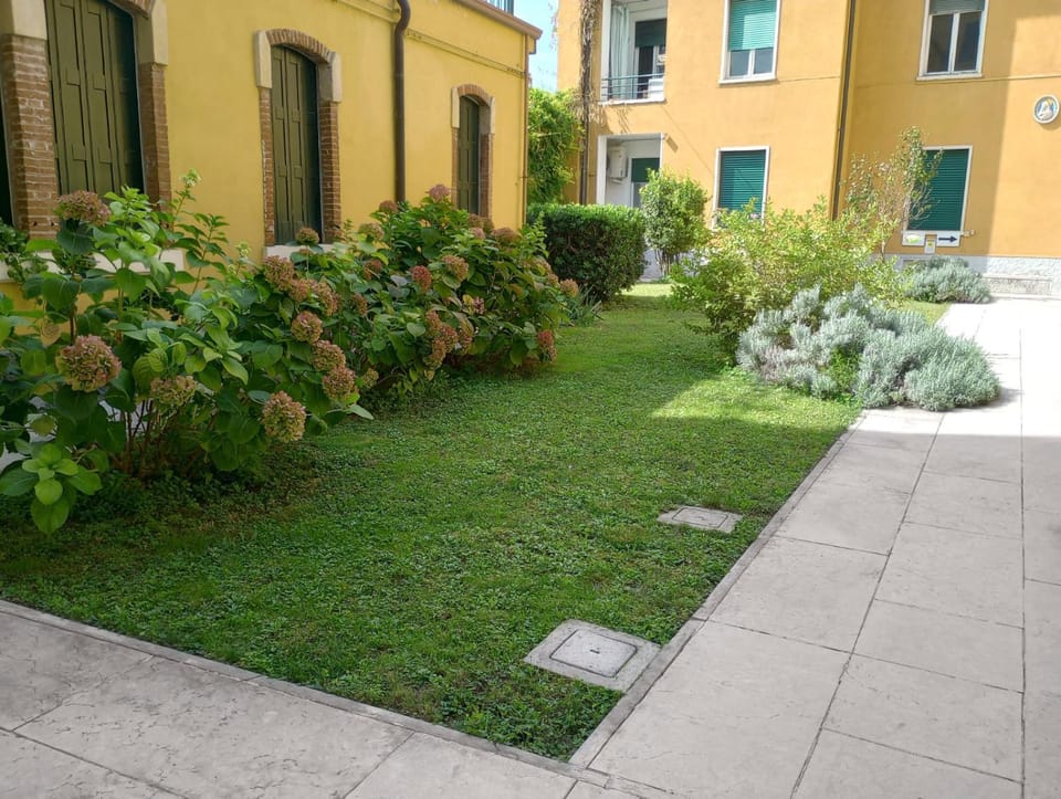 Natural landscape, Garden