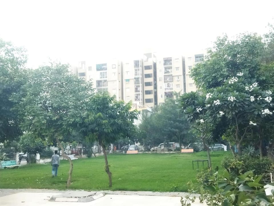 Garden, Garden view