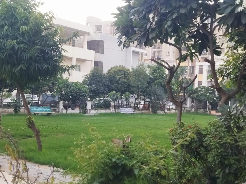 Garden view