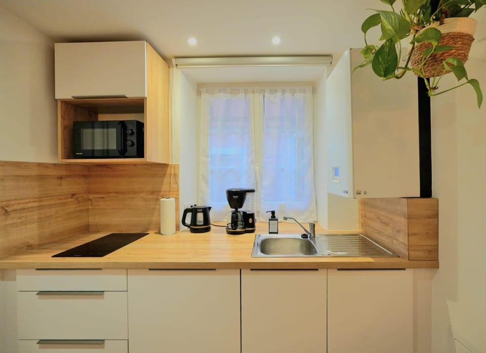 Le Cocon d'Obernai Apartment in Grand Est