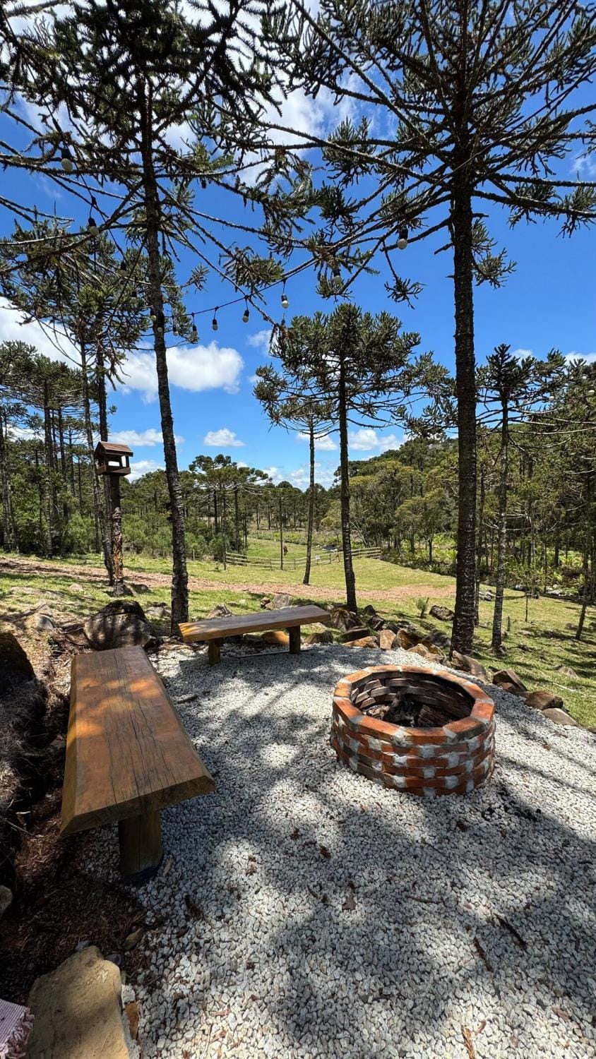 Natural landscape, Garden