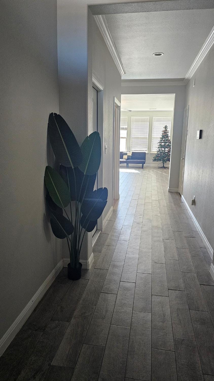 Prime Location Home Family & Business Ready House in Midland