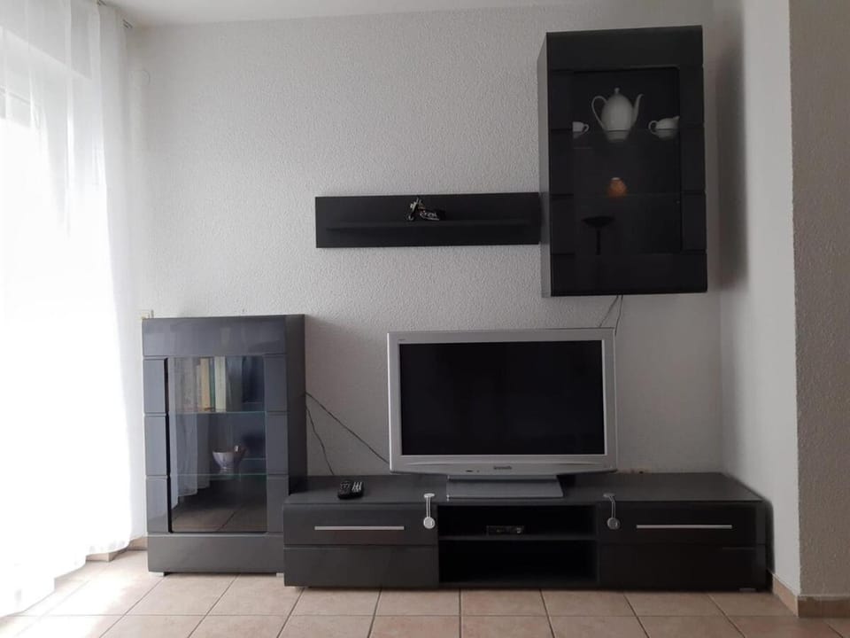 TV and multimedia