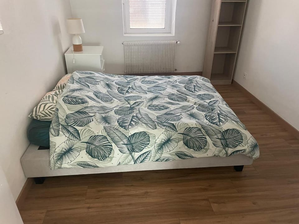 Appartement spacieux, proche centre ville Apartment in Mulhouse