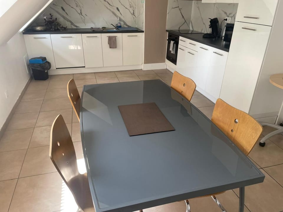 Appartement spacieux, proche centre ville Apartment in Mulhouse