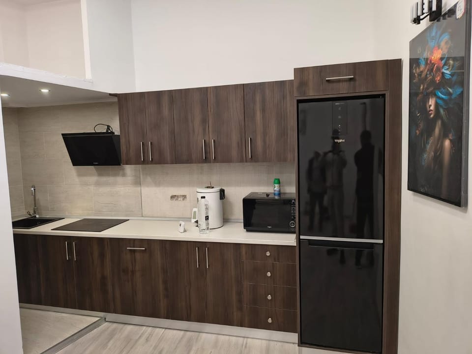 Brukenthal House Apartment in Sibiu