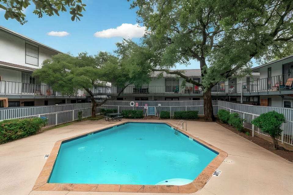 Garden, Pool view, Swimming pool, sunbed