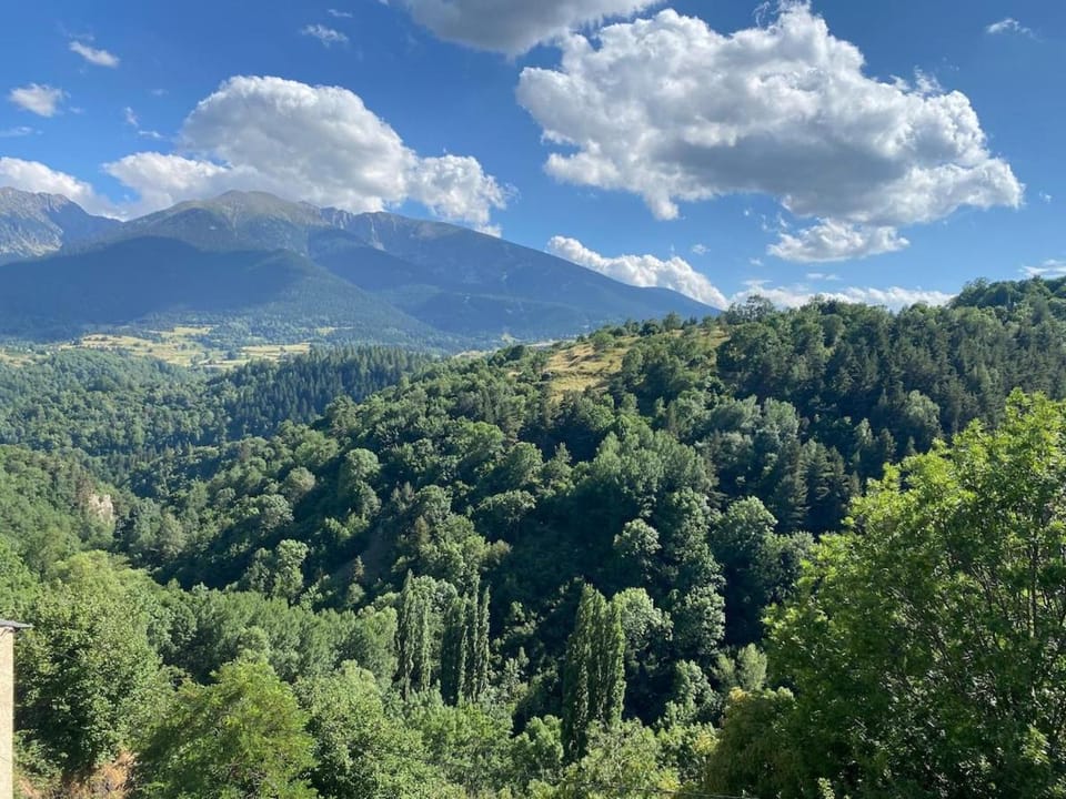 Mountain view