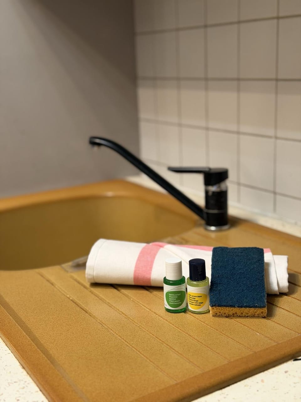 Appartement avec jardin - primerose Apartment in St-Malo