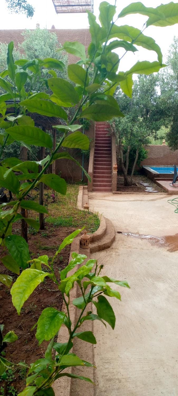 la maison mondiale ouirgane Bed and Breakfast in Marrakesh-Safi