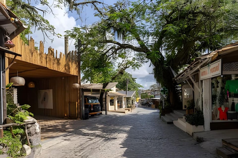 Day, City view, Street view, Location