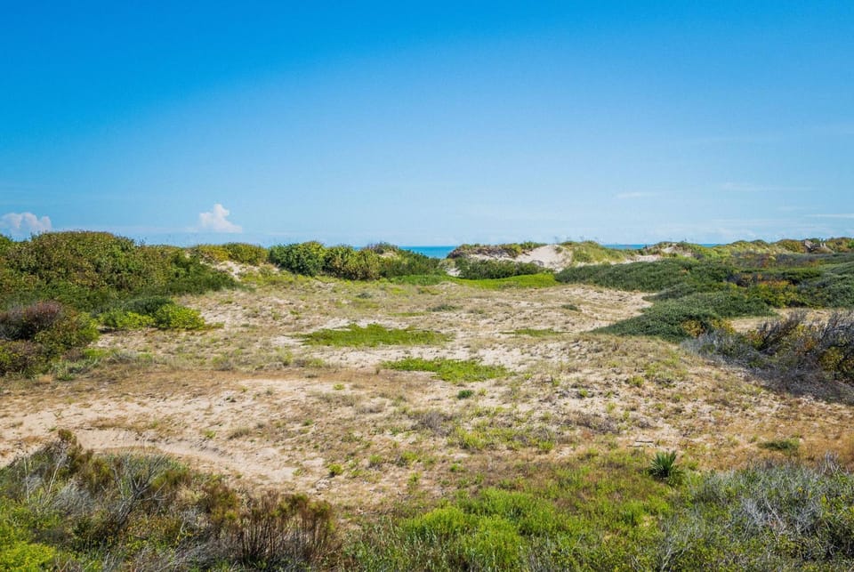 The Cat's Meow - Corolla, Ocean Sands, 70 Ft to Beach, Ocean View, Hot Tub, Pets OK House in Corolla