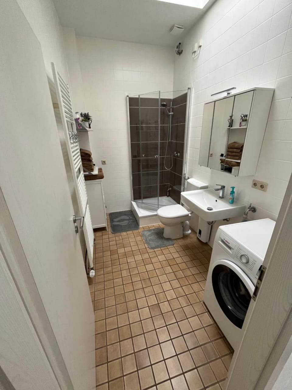 Shower, Toilet, washing machine