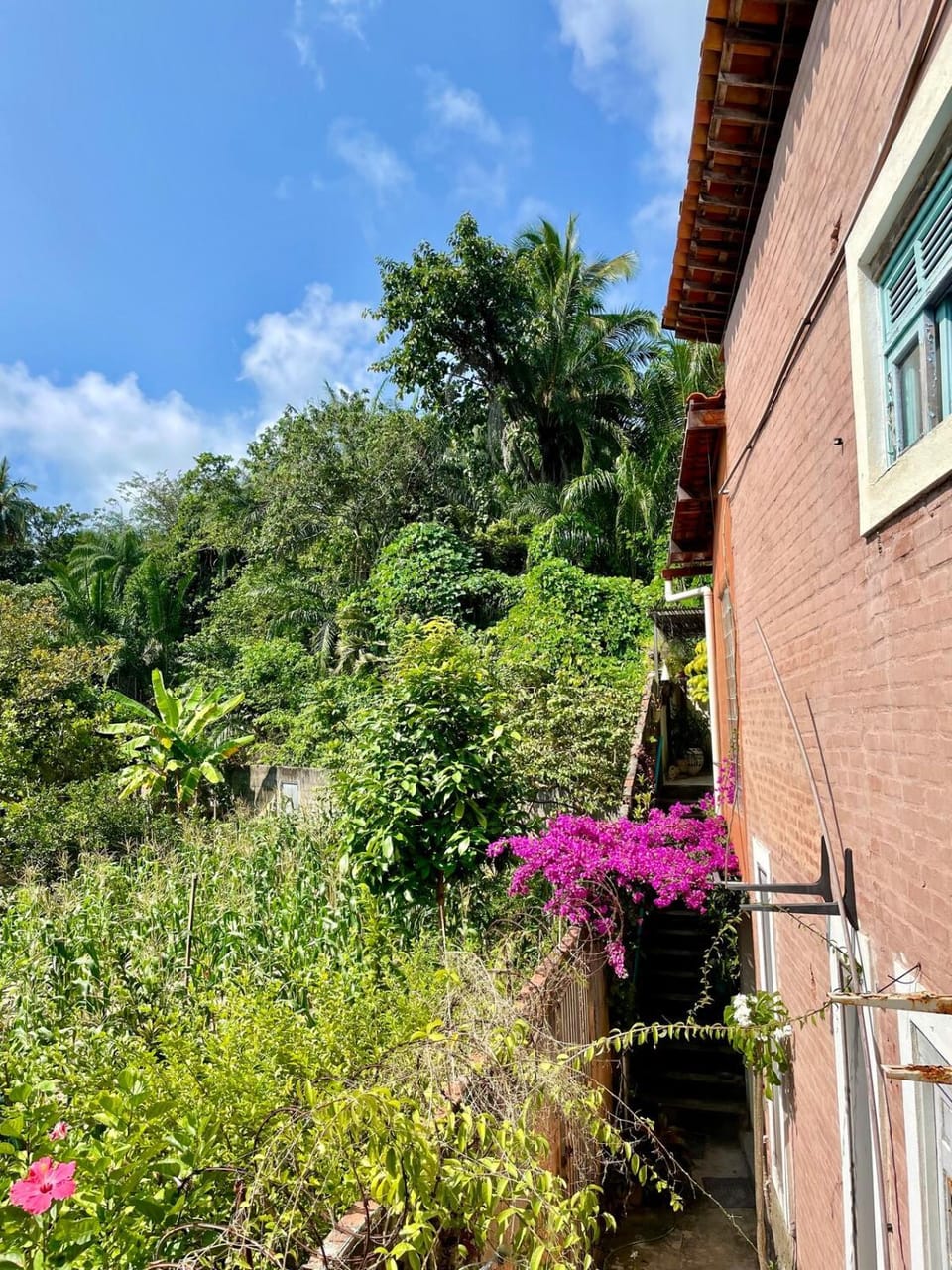 Property building, Natural landscape