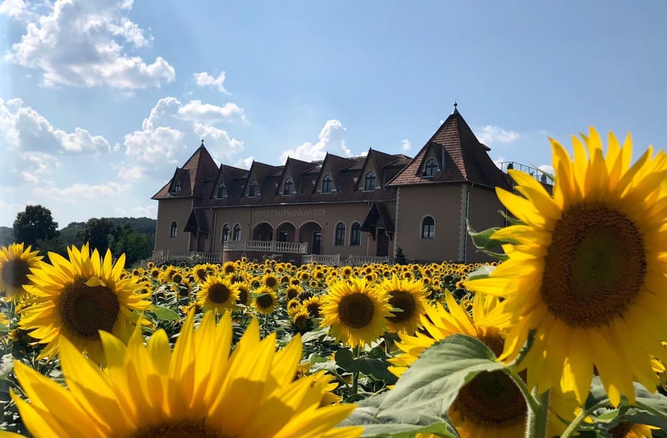 Sáppusztai Vendégház Bed and Breakfast in Hungary