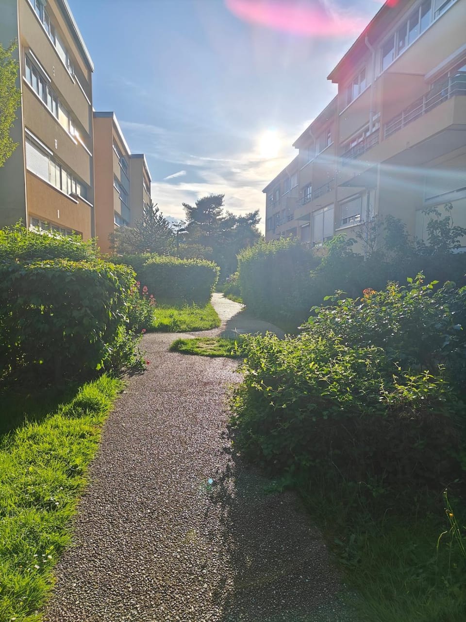 Property building, Spring, Day, Neighbourhood, Natural landscape, Garden, Garden view, Street view