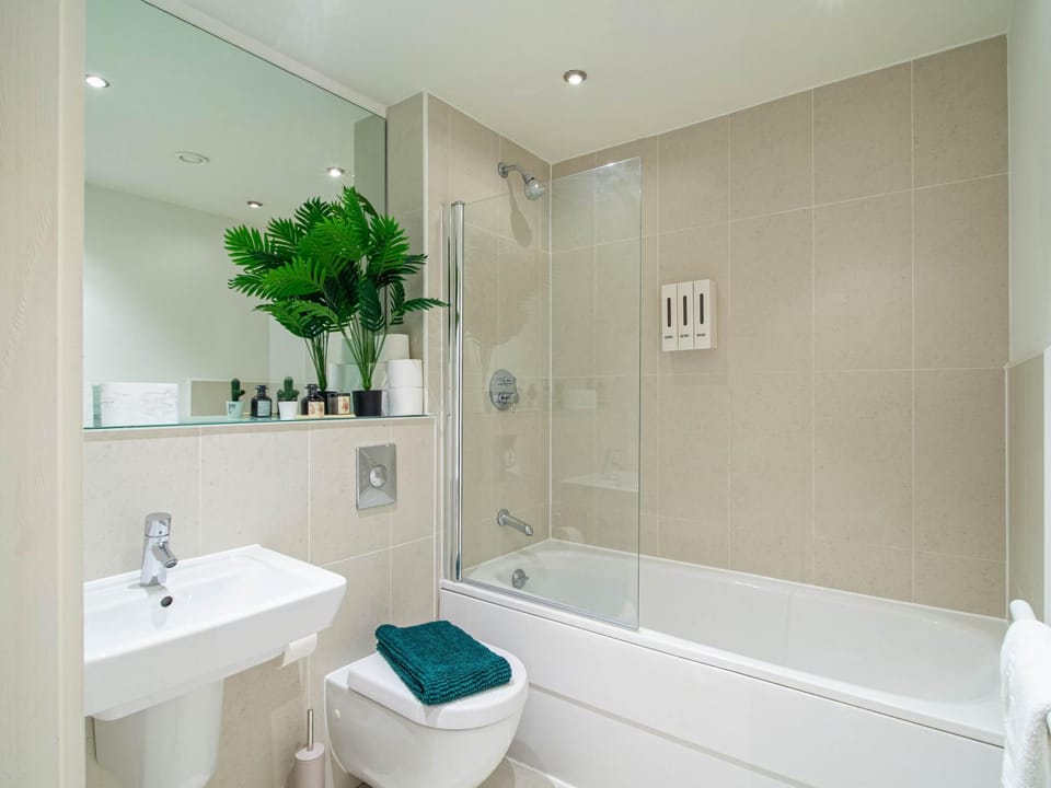 Toilet, Bathroom, Bath