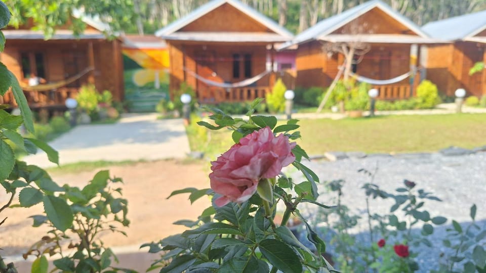 Stay at Lanta Bungalow Hotel in Thailand