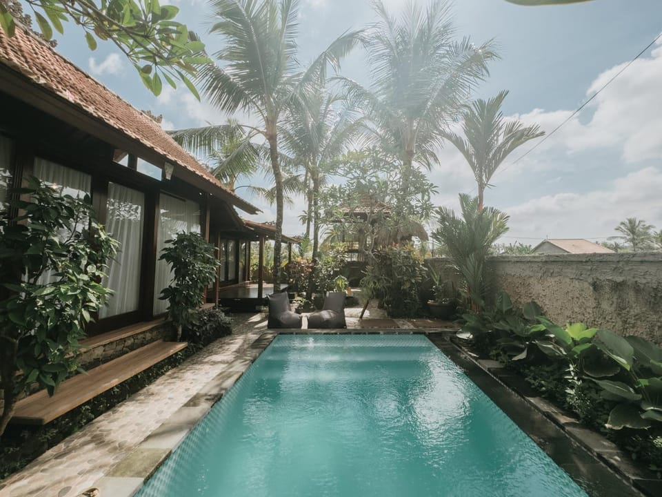 Garden, Swimming pool, sunbed