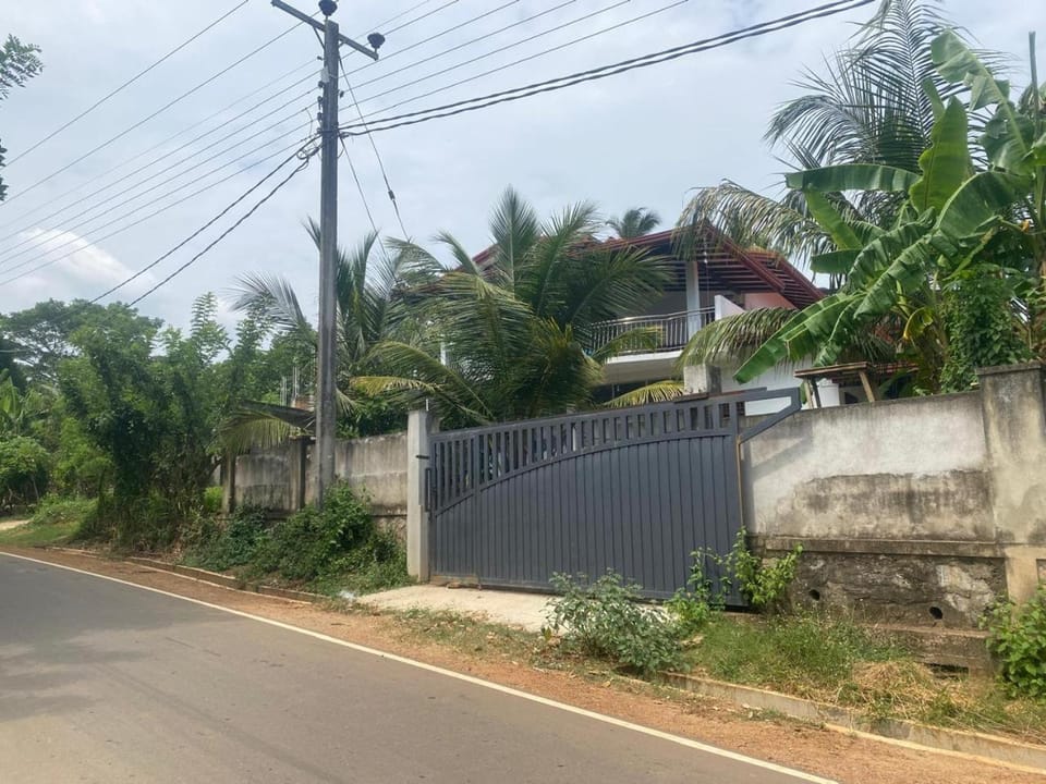 Neighbourhood, Natural landscape, Garden view